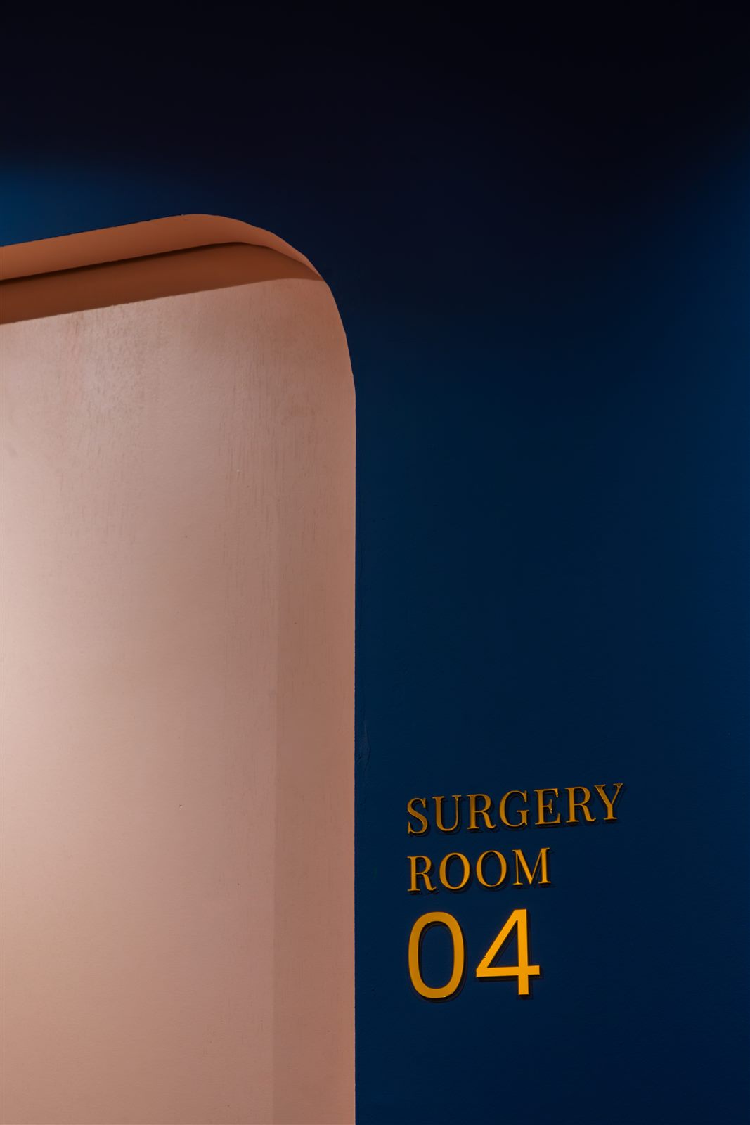 Surgery room, Putra Heights branch